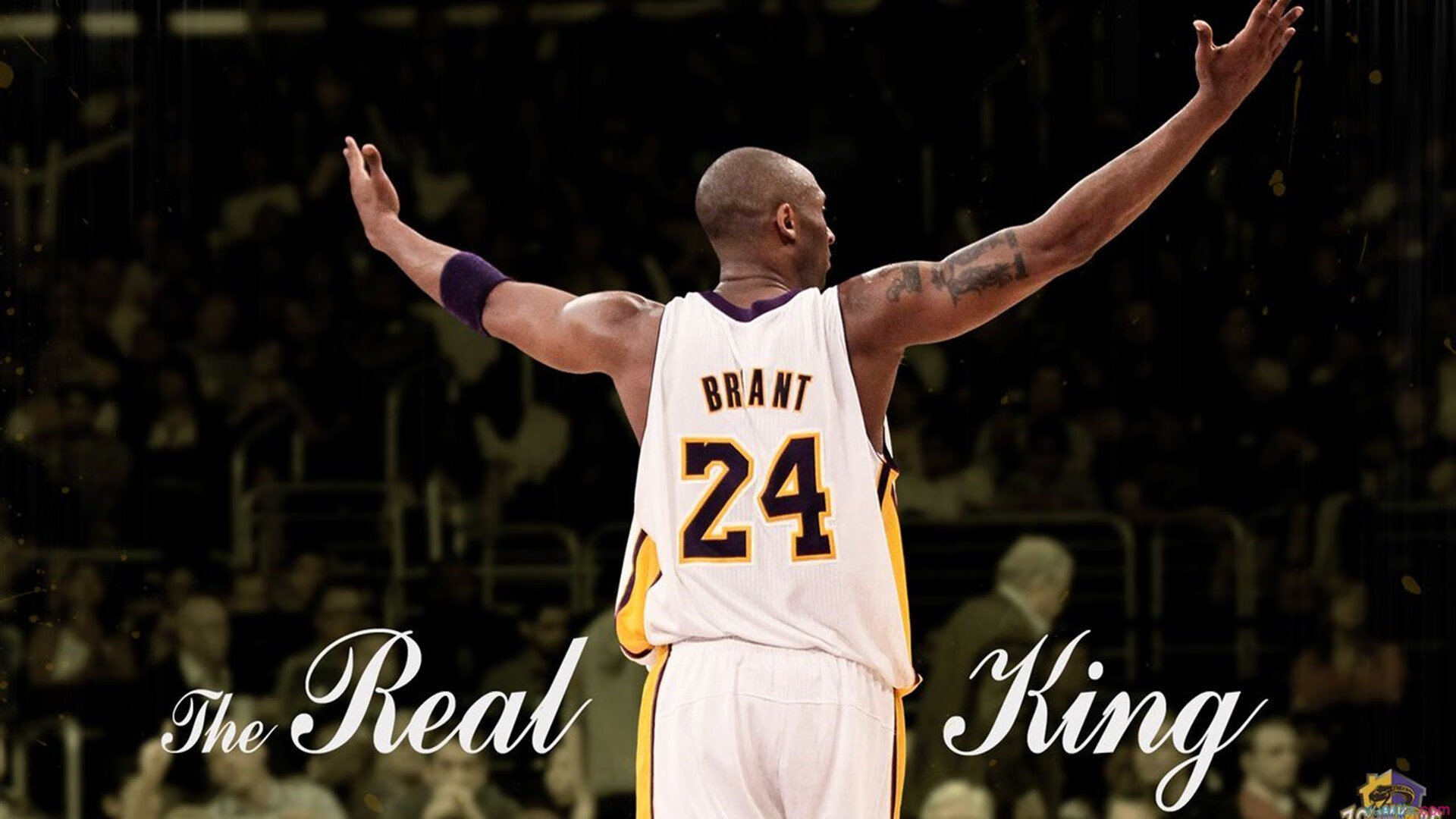 九游官方平台-NBA球队管理层决策机制研究，nba球队架构