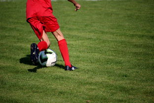 九游体育线上-NBA球队青训体系建设与人才储备，nba青年队