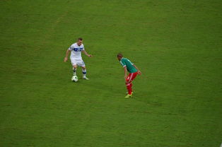 九游游戏集合-中国足球对抗频次与伤病风险相关性，足球 对抗